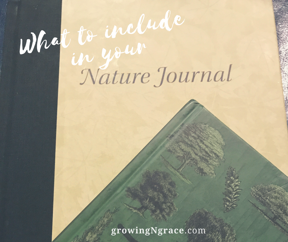 What to include in your nature journal - Growing In Grace